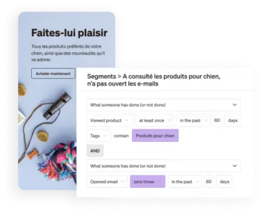 Snapshots of two screens showcase how a brand can use Klaviyo to reach customers via SMS and email marketing