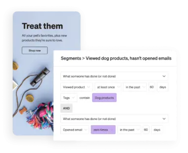 Snapshots of two screens showcase how a brand can use Klaviyo to reach customers via SMS and email marketing