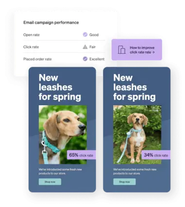 The Klaviyo dashboard displays email campaign performance data above two A/B tested email designs.