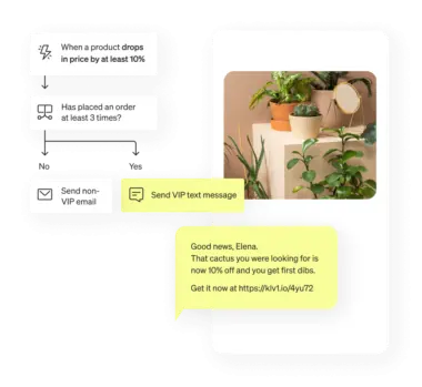 Marketing text message for a discounted cactus, sent to VIP customers